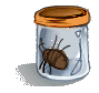 Bug Jar